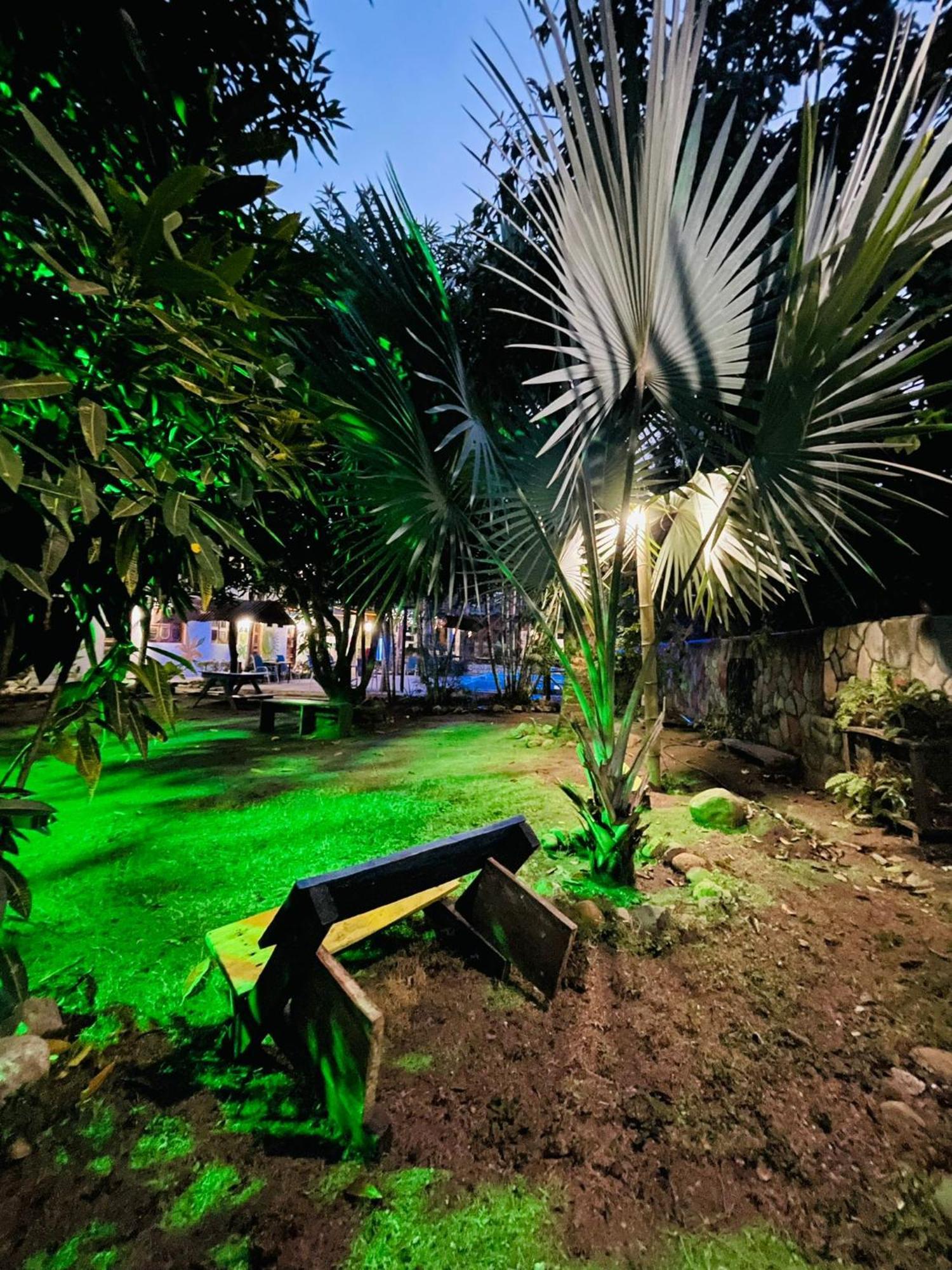 Hostal Luz De Luna パロミノ エクステリア 写真