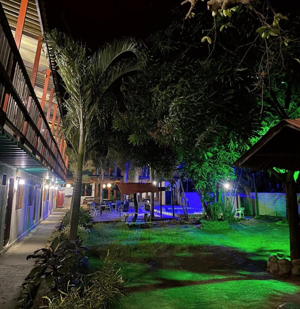 Hostal Luz De Luna パロミノ エクステリア 写真